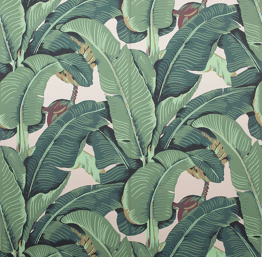 The Iconic Beverly Hillsâ¢ Banana Leaf - Classic Green â Designer Wallcoverings and Fabrics HD wallpaper